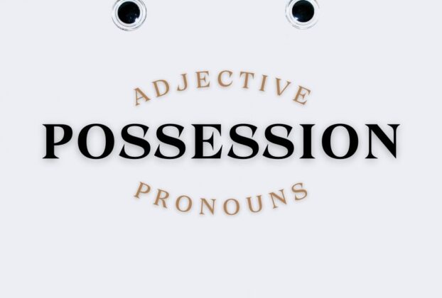 Possessive Pronouns